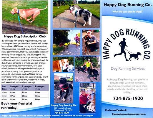 Happy Dog Running Brochure