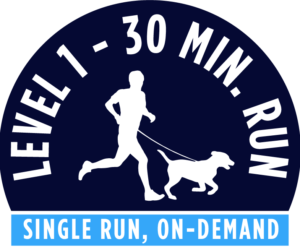 Level 1 - 30 minute running package - Single Run On-Demand