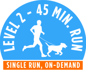 Level 2 - 45 minute running package - Single Run, On-Demand