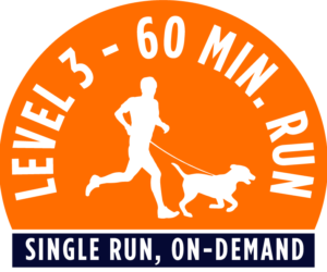 Level 1 - 60 minute running package - Single Run, On-Demand